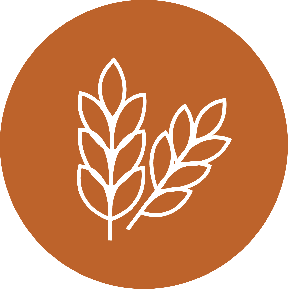 Production végétale